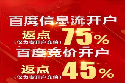百度推广服务费案例：打造爆款产品营销策略